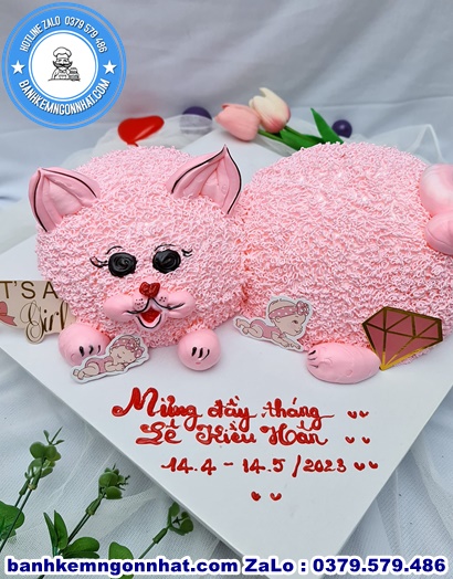 banh kem con mèo ở Huyện Thanh Chương, Nghệ An