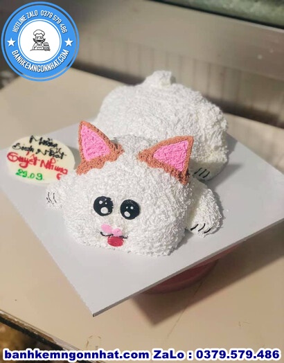 banh kem con meo ở huyện Thái Thụy, Thái Bình