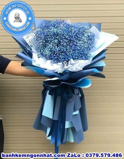 hoa baby ở Huyện Yên Thủy, Hoà Bình