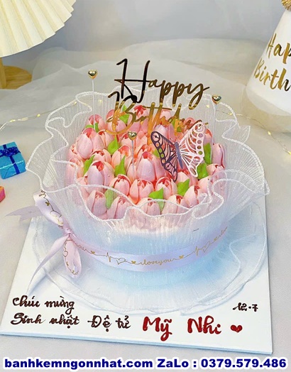 hoa tuylip ở Huyện Kim Thành, Hải Dương